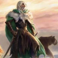 Drizzt Do'Urden