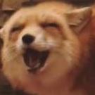 MapleTheNeko
