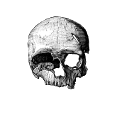 The Dead