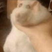 Peter