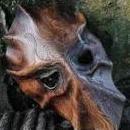 MaskedSparrow