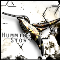 The Hummingbird